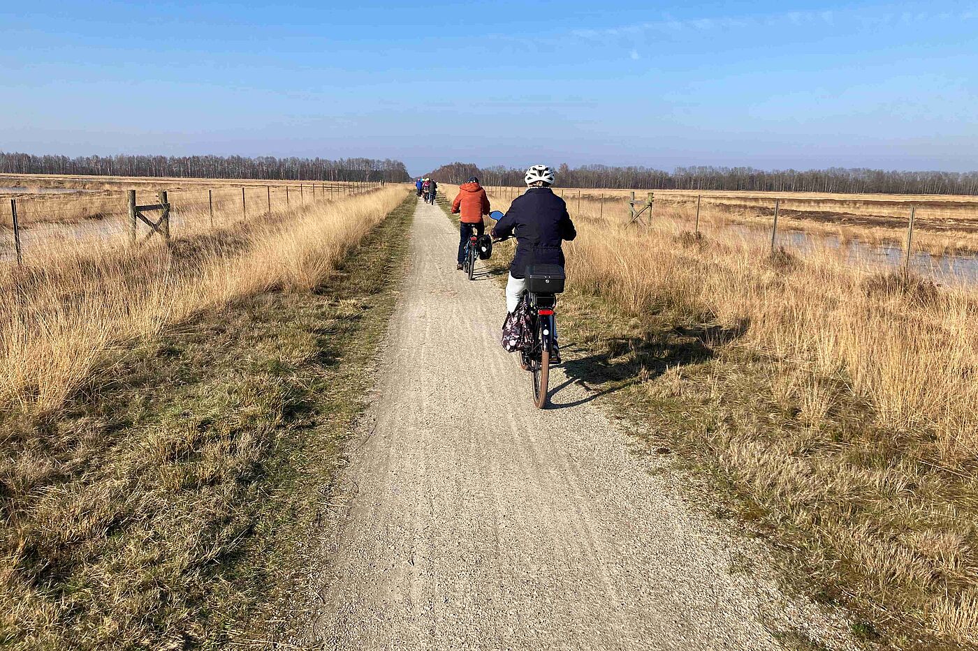 Auf dem Weg durchs Moor