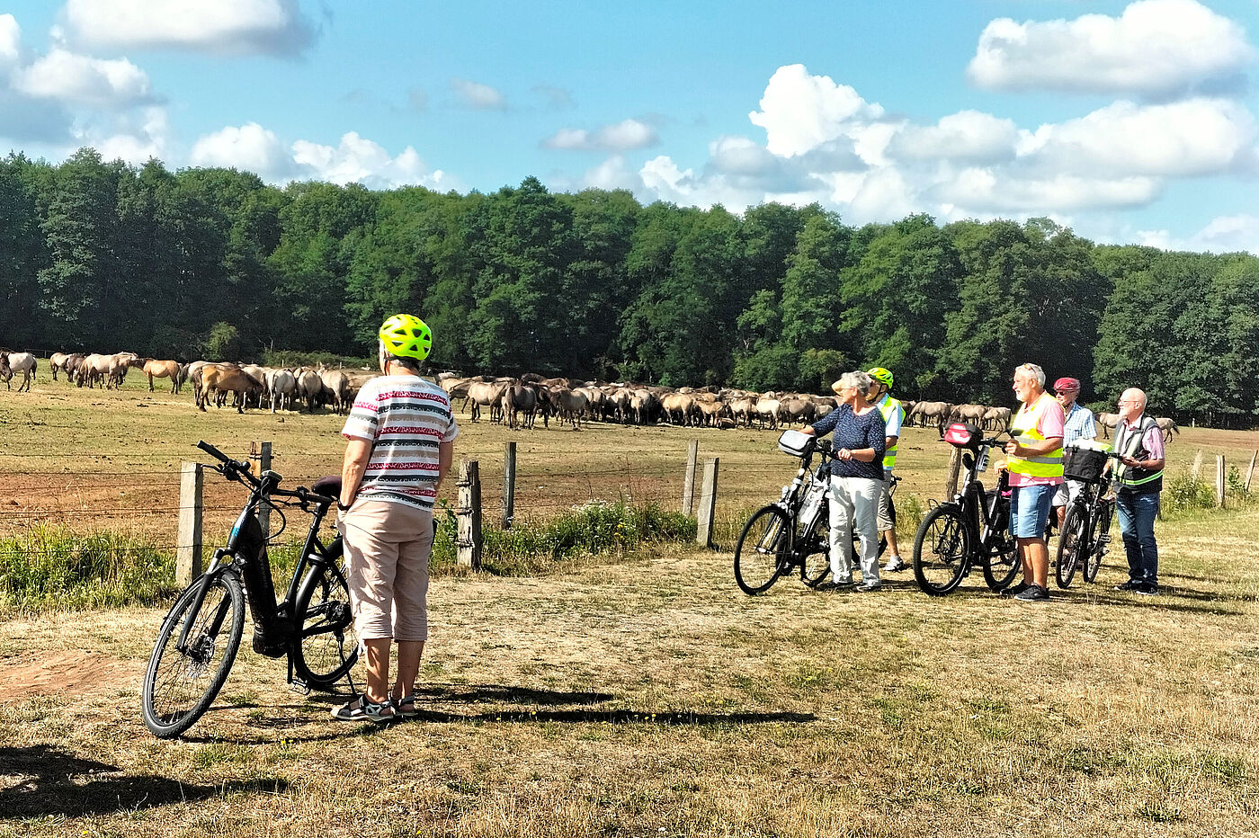 Mit dem ADFC Papenburg zum Pferdespektakel Dülmen