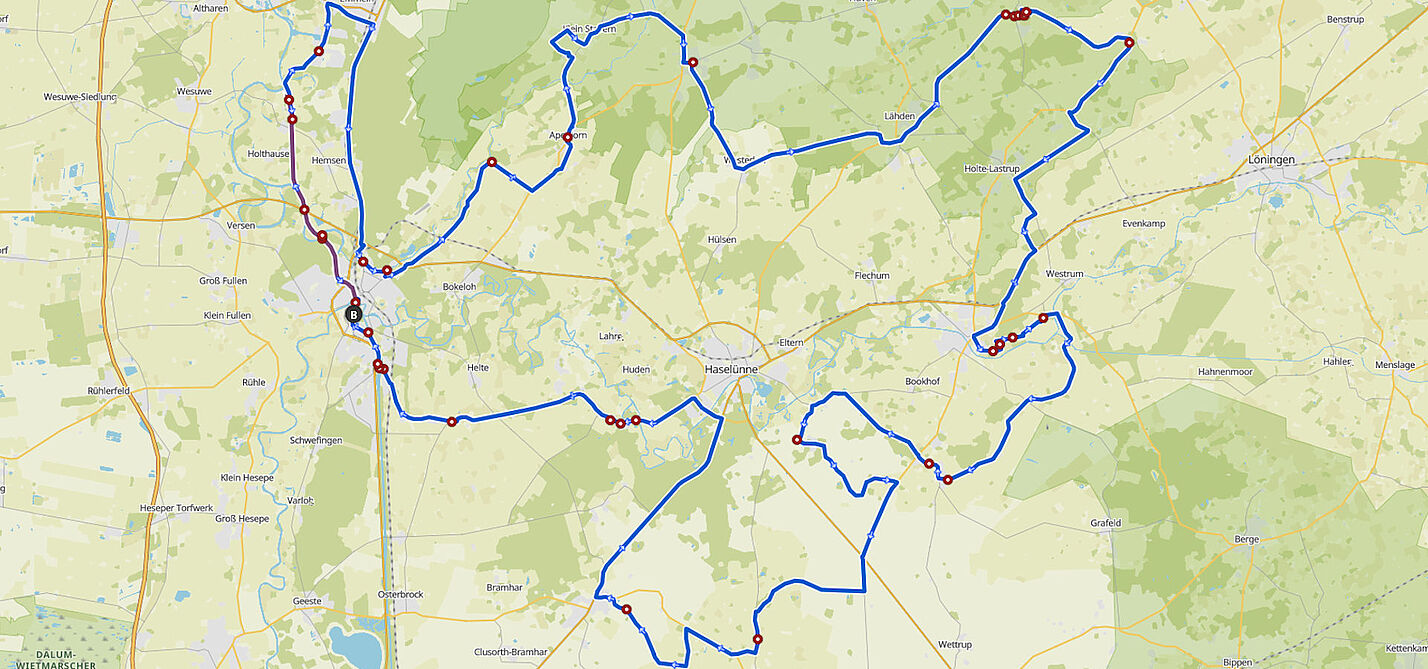 Die emsländische Friedenstaube