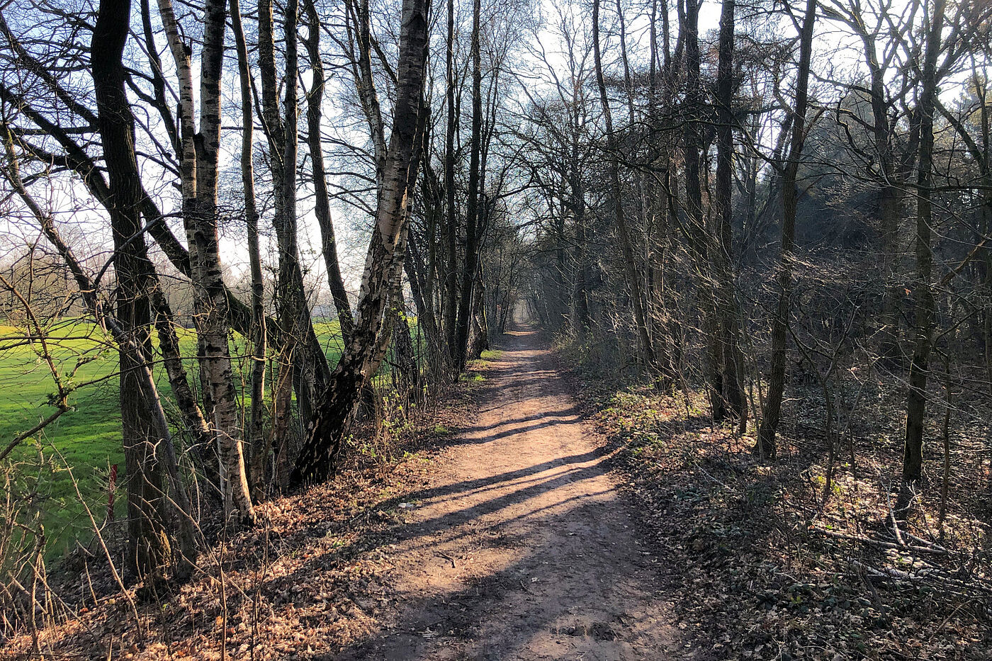 Winterwanderung 2024 - Am Golfplatz