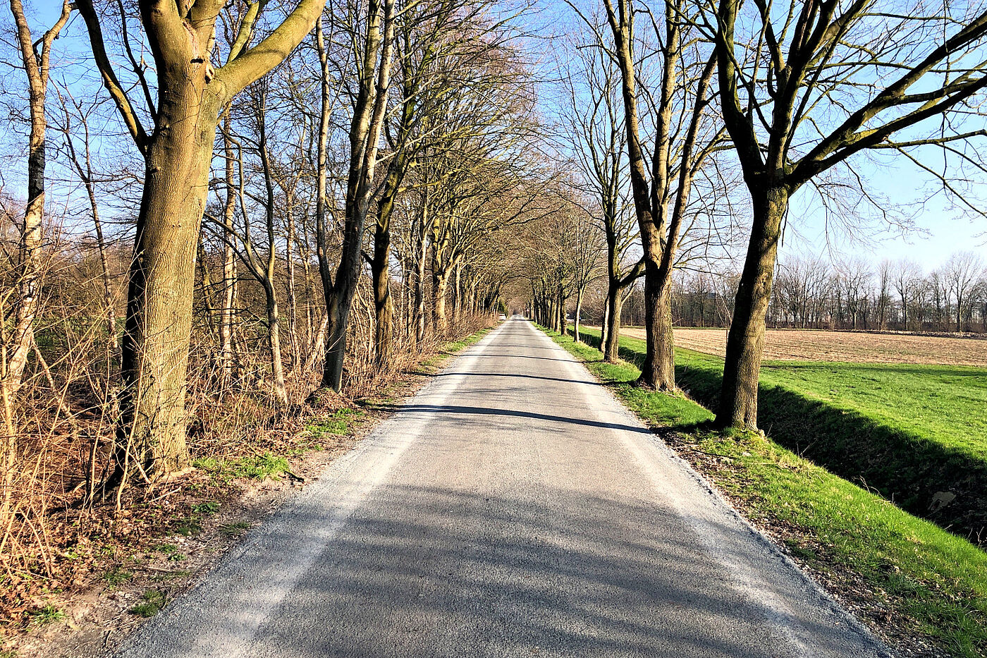 Winterwanderung 2024 - Auf dem Lerchenweg