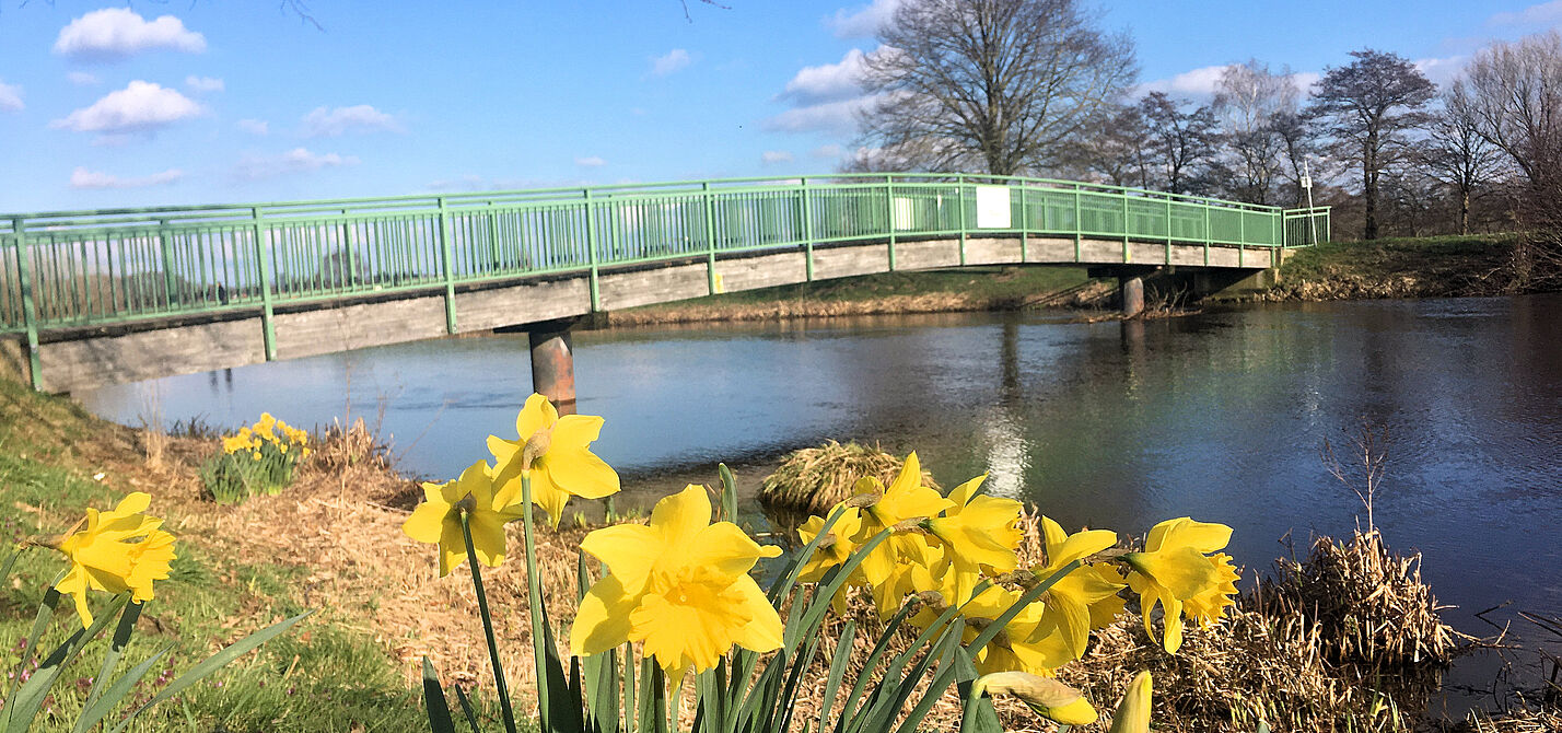 Frühlingsboten an einer Huntebrücke vor Oldenburg
