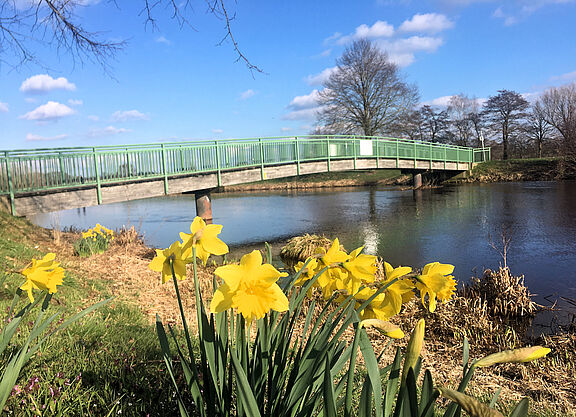 Frühlingsboten an einer Huntebrücke vor Oldenburg Frühlingsboten an einer Huntebrücke vor Oldenburg