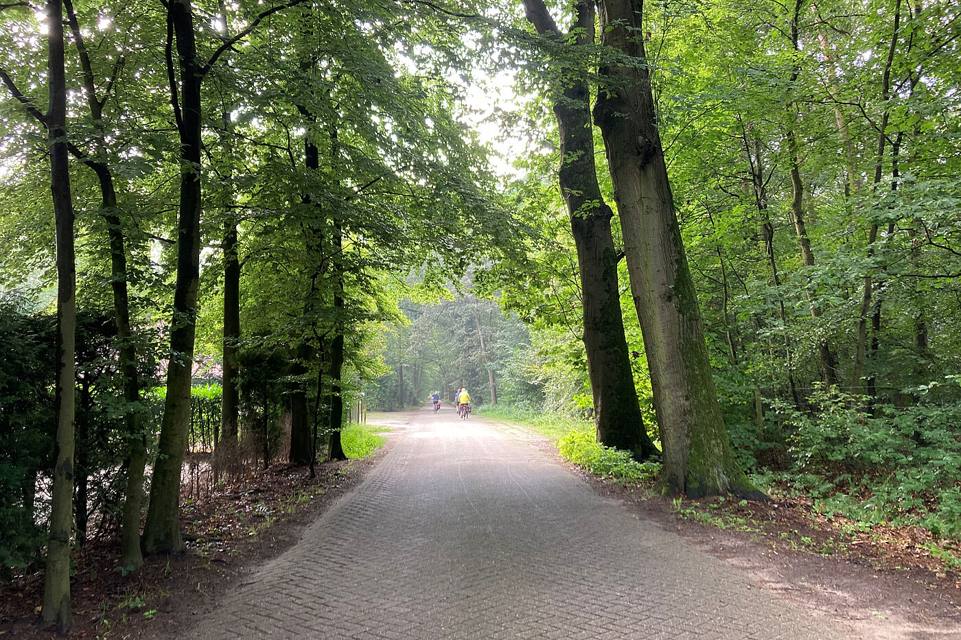 Bei Heino Bei Heino