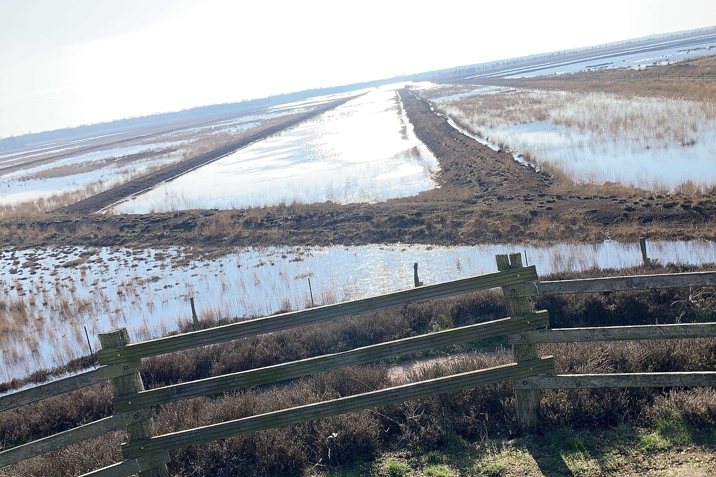 Viel Wasser im Dalum-Wietmarscher Moor